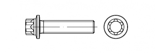 DIN 34800 Flanşlı Torx Civata